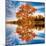 Autumn in the Reflection-Philippe Sainte-Laudy-Mounted Photographic Print