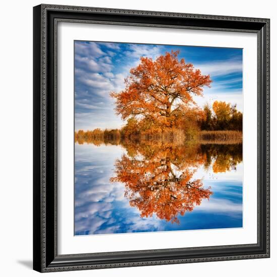 Autumn in the Reflection-Philippe Sainte-Laudy-Framed Photographic Print