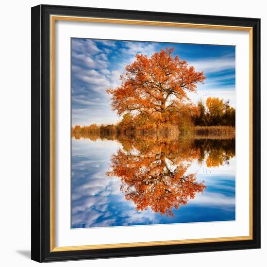 Autumn in the Reflection-Philippe Sainte-Laudy-Framed Photographic Print