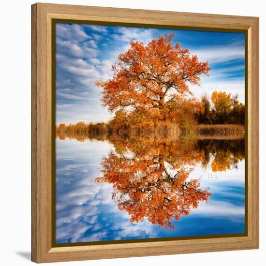 Autumn in the Reflection-Philippe Sainte-Laudy-Framed Premier Image Canvas