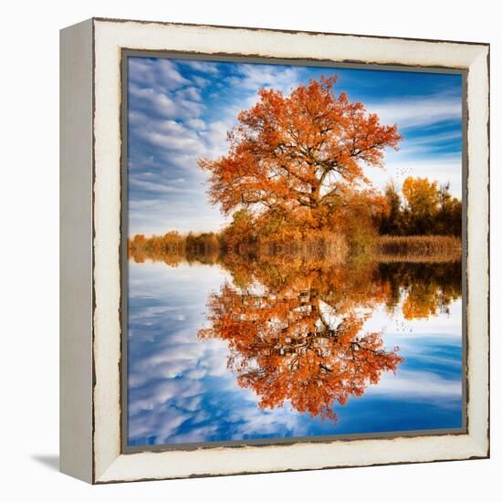 Autumn in the Reflection-Philippe Sainte-Laudy-Framed Premier Image Canvas