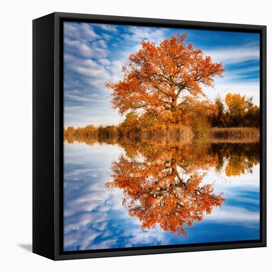 Autumn in the Reflection-Philippe Sainte-Laudy-Framed Premier Image Canvas