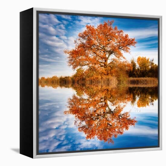 Autumn in the Reflection-Philippe Sainte-Laudy-Framed Premier Image Canvas