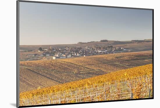 Autumn in the Vineyards of Chablis, Burgundy, France, Europe-Julian Elliott-Mounted Photographic Print