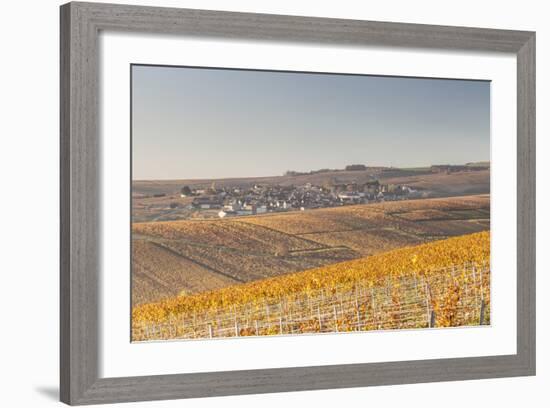 Autumn in the Vineyards of Chablis, Burgundy, France, Europe-Julian Elliott-Framed Photographic Print