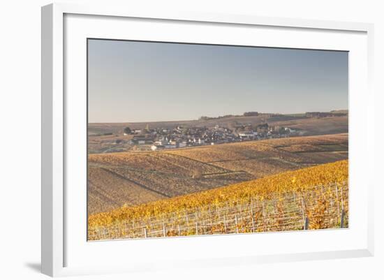 Autumn in the Vineyards of Chablis, Burgundy, France, Europe-Julian Elliott-Framed Photographic Print
