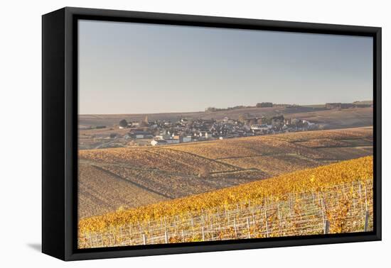 Autumn in the Vineyards of Chablis, Burgundy, France, Europe-Julian Elliott-Framed Premier Image Canvas