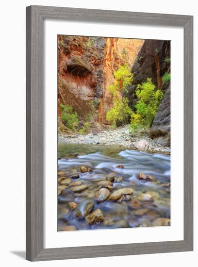 Autumn in The Virgin Narrows, Southern Utah-Vincent James-Framed Photographic Print