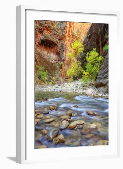 Autumn in The Virgin Narrows, Southern Utah-Vincent James-Framed Photographic Print