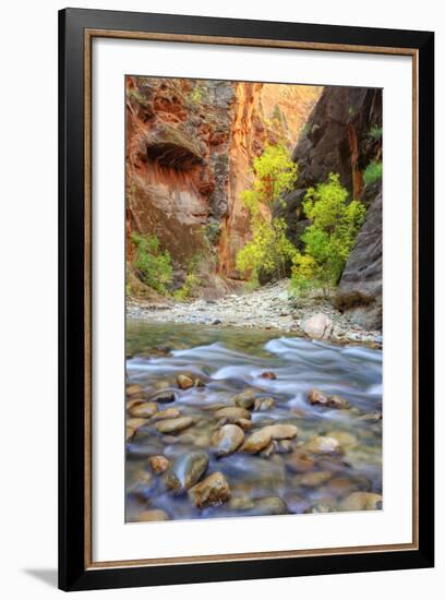 Autumn in The Virgin Narrows, Southern Utah-Vincent James-Framed Photographic Print