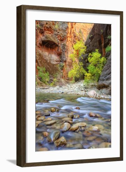 Autumn in The Virgin Narrows, Southern Utah-Vincent James-Framed Photographic Print