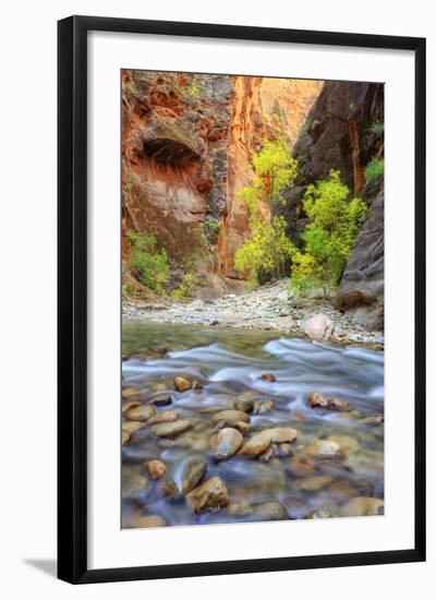 Autumn in The Virgin Narrows, Southern Utah-Vincent James-Framed Photographic Print