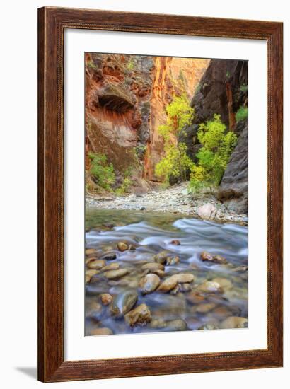 Autumn in The Virgin Narrows, Southern Utah-Vincent James-Framed Photographic Print