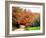 Autumn In Umbria Golden Colours-Dorothy Berry-Lound-Framed Giclee Print