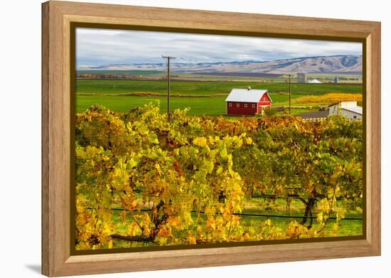 Autumn in Walla Walla Wine Country, Walla Walla, Washington, USA-Richard Duval-Framed Premier Image Canvas