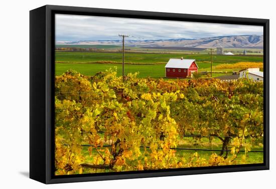 Autumn in Walla Walla Wine Country, Walla Walla, Washington, USA-Richard Duval-Framed Premier Image Canvas