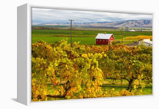 Autumn in Walla Walla Wine Country, Walla Walla, Washington, USA-Richard Duval-Framed Premier Image Canvas
