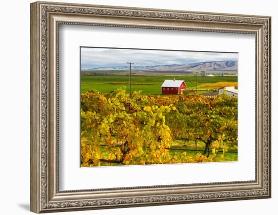 Autumn in Walla Walla Wine Country, Walla Walla, Washington, USA-Richard Duval-Framed Photographic Print