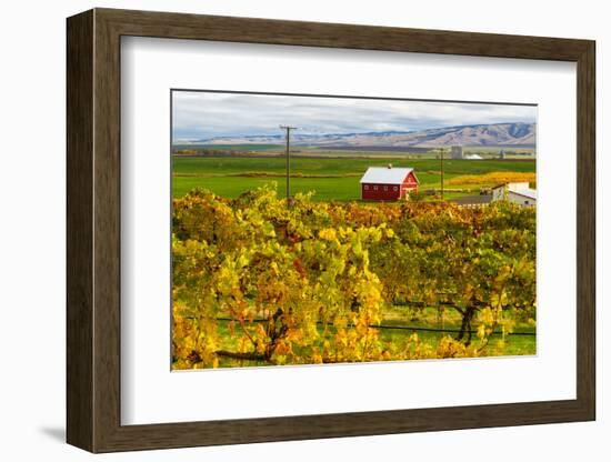 Autumn in Walla Walla Wine Country, Walla Walla, Washington, USA-Richard Duval-Framed Photographic Print