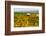 Autumn in Walla Walla Wine Country, Walla Walla, Washington, USA-Richard Duval-Framed Photographic Print