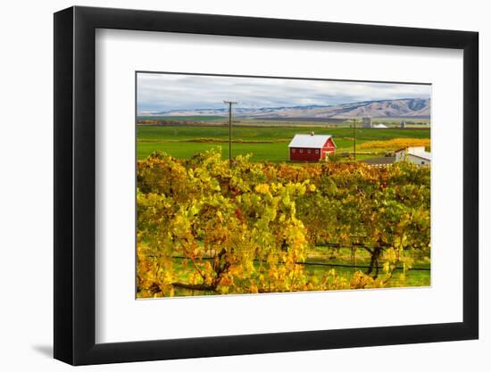 Autumn in Walla Walla Wine Country, Walla Walla, Washington, USA-Richard Duval-Framed Photographic Print