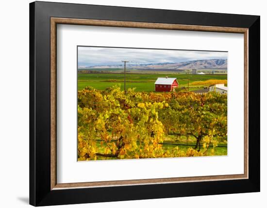 Autumn in Walla Walla Wine Country, Walla Walla, Washington, USA-Richard Duval-Framed Photographic Print