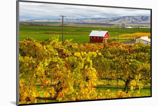 Autumn in Walla Walla Wine Country, Walla Walla, Washington, USA-Richard Duval-Mounted Photographic Print