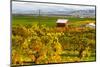 Autumn in Walla Walla Wine Country, Walla Walla, Washington, USA-Richard Duval-Mounted Photographic Print