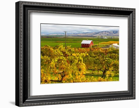 Autumn in Walla Walla Wine Country, Walla Walla, Washington, USA-Richard Duval-Framed Photographic Print