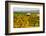 Autumn in Walla Walla Wine Country, Walla Walla, Washington, USA-Richard Duval-Framed Photographic Print