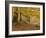 Autumn in Yellow-Doug Chinnery-Framed Photographic Print