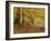 Autumn in Yellow-Doug Chinnery-Framed Photographic Print