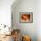 Autumn is Golden-Robin Wechsler-Framed Giclee Print displayed on a wall