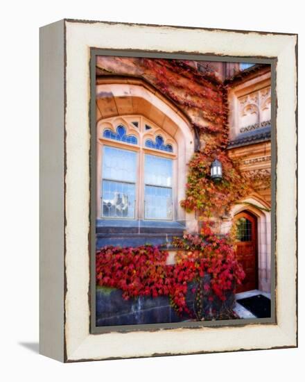 Autumn Ivy Princeton University New Jersey-George Oze-Framed Premier Image Canvas