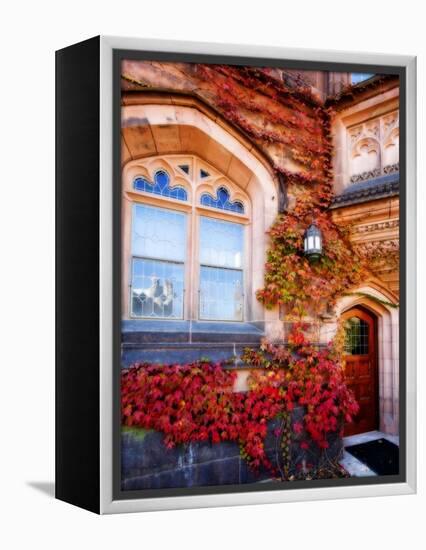 Autumn Ivy Princeton University New Jersey-George Oze-Framed Premier Image Canvas