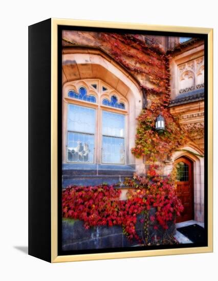 Autumn Ivy Princeton University New Jersey-George Oze-Framed Premier Image Canvas