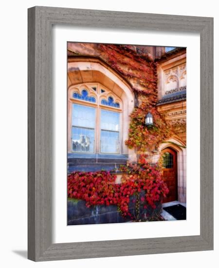 Autumn Ivy Princeton University New Jersey-George Oze-Framed Photographic Print