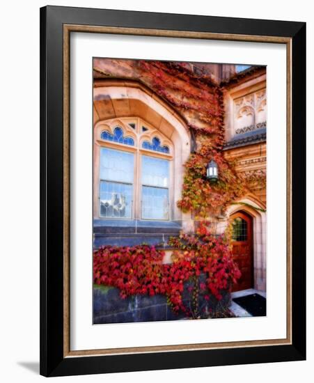 Autumn Ivy Princeton University New Jersey-George Oze-Framed Photographic Print