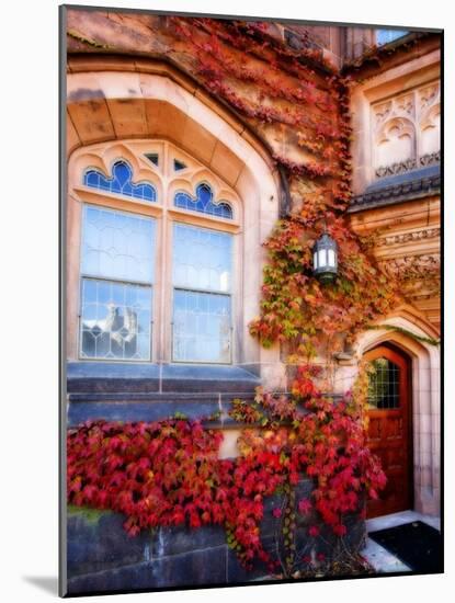 Autumn Ivy Princeton University New Jersey-George Oze-Mounted Photographic Print