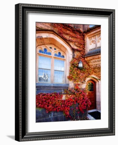 Autumn Ivy Princeton University New Jersey-George Oze-Framed Photographic Print