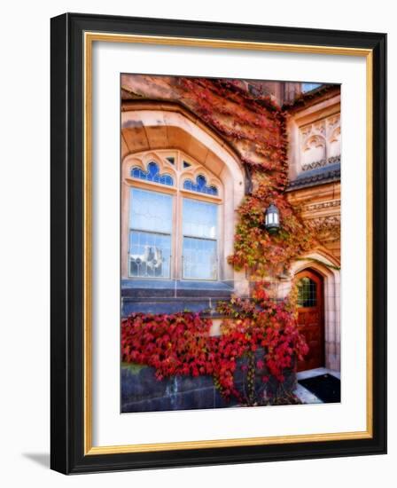 Autumn Ivy Princeton University New Jersey-George Oze-Framed Photographic Print