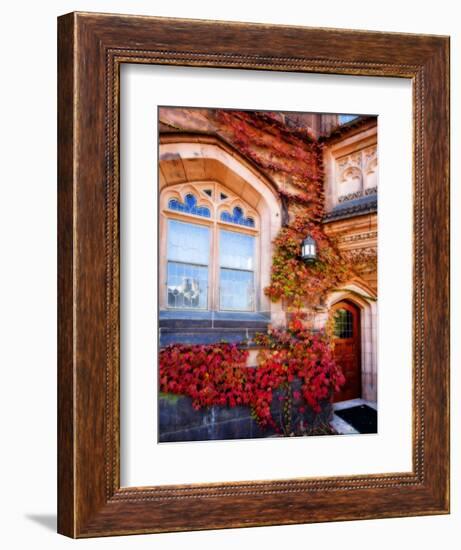 Autumn Ivy Princeton University New Jersey-George Oze-Framed Photographic Print