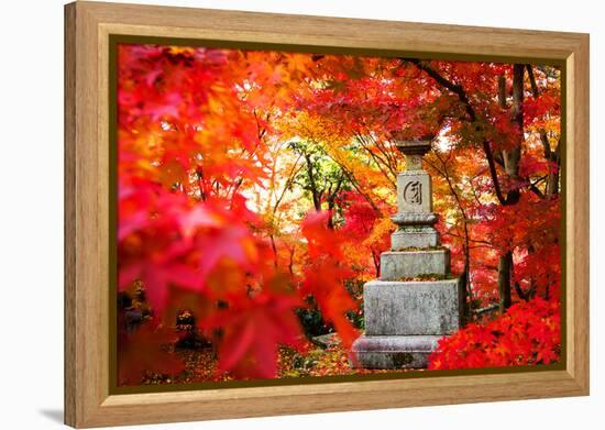 Autumn Japanese Garden with Maple-NicholasHan-Framed Premier Image Canvas