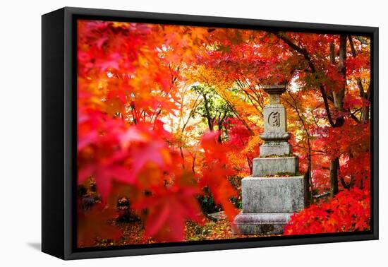 Autumn Japanese Garden with Maple-NicholasHan-Framed Premier Image Canvas