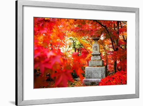 Autumn Japanese Garden with Maple-NicholasHan-Framed Photographic Print