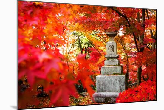 Autumn Japanese Garden with Maple-NicholasHan-Mounted Photographic Print