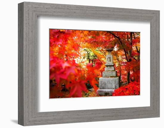 Autumn Japanese Garden with Maple-NicholasHan-Framed Photographic Print