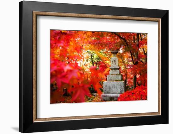 Autumn Japanese Garden with Maple-NicholasHan-Framed Photographic Print