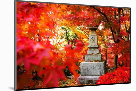 Autumn Japanese Garden with Maple-NicholasHan-Mounted Photographic Print