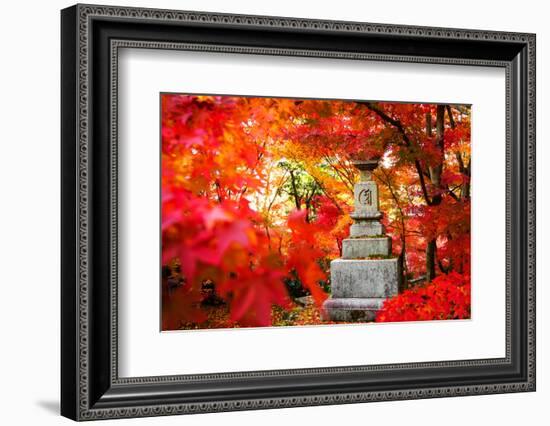 Autumn Japanese Garden with Maple-NicholasHan-Framed Photographic Print